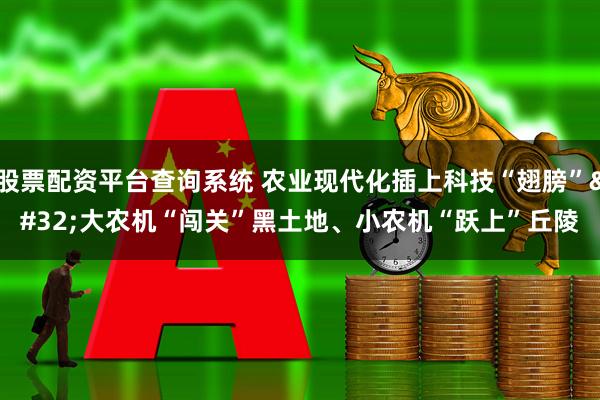 股票配资平台查询系统 农业现代化插上科技“翅膀” 大农机“闯关”黑土地、小农机“跃上”丘陵